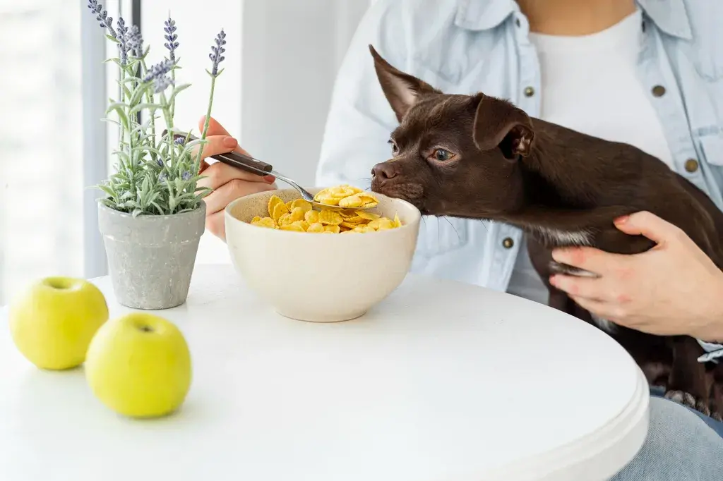 Nutritious Diet for Dog Growth