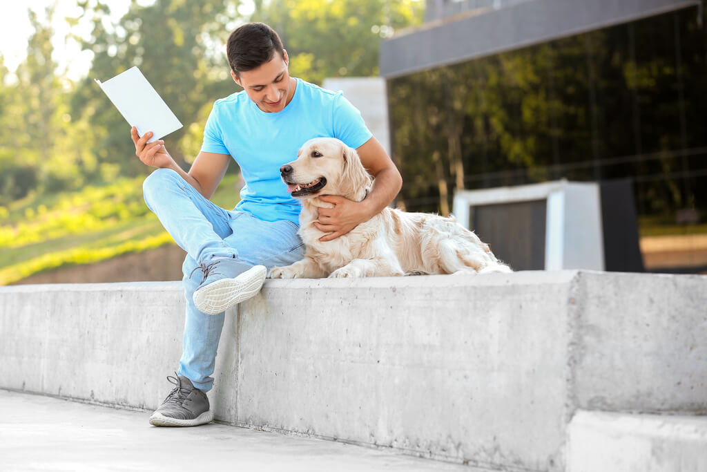 Pet Insurance