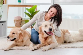 Pet-Friendly Home