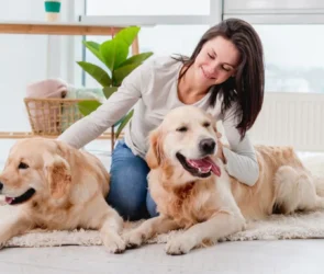 Pet-Friendly Home
