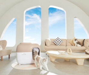 Self Cleaning Litter Box