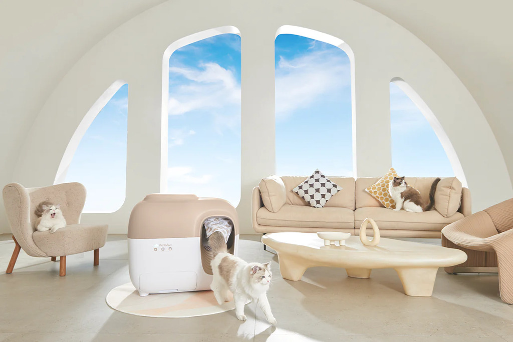 Self Cleaning Litter Box