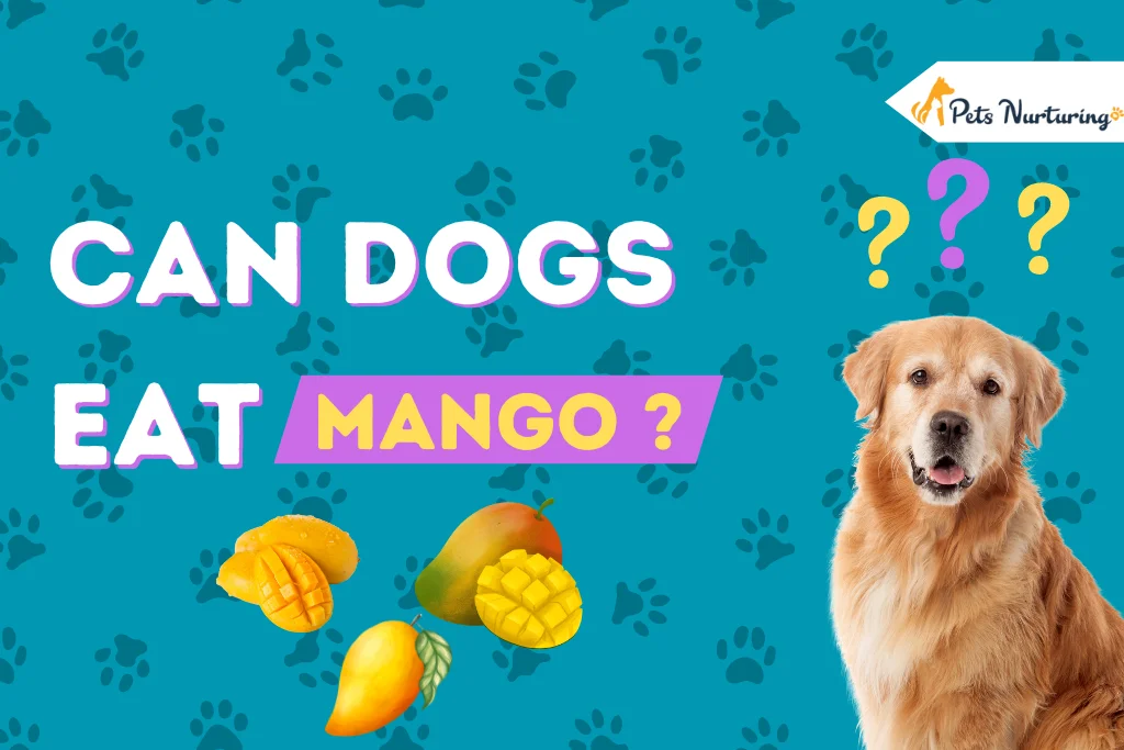 Can Dogs eat Mango