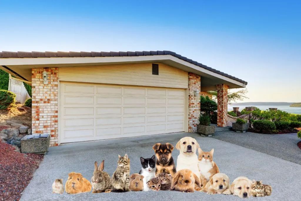Pet Friendly Garage Space
