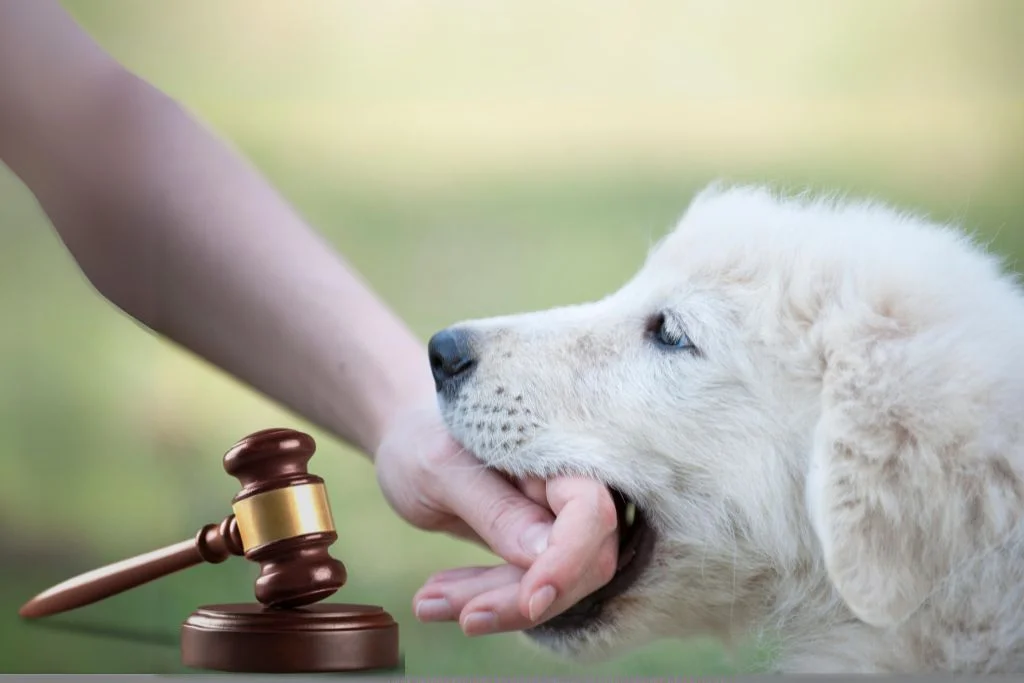 Texas Dog Bite Laws