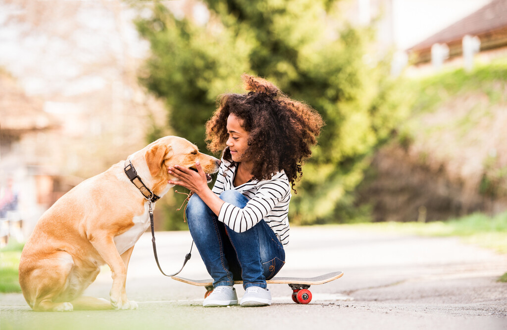 Dog Care