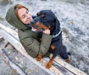 legal consequences of owning a Rottweiler