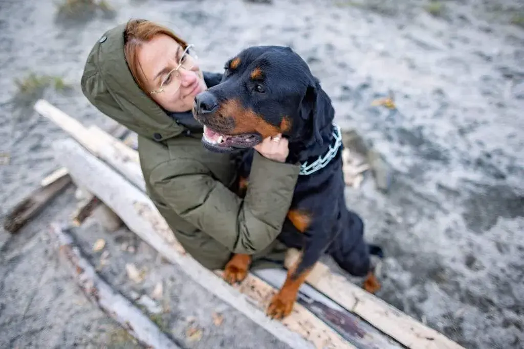 legal consequences of owning a Rottweiler
