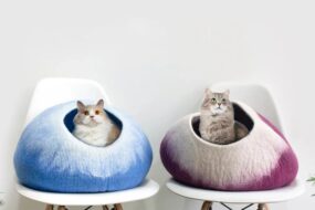 cat cave bed